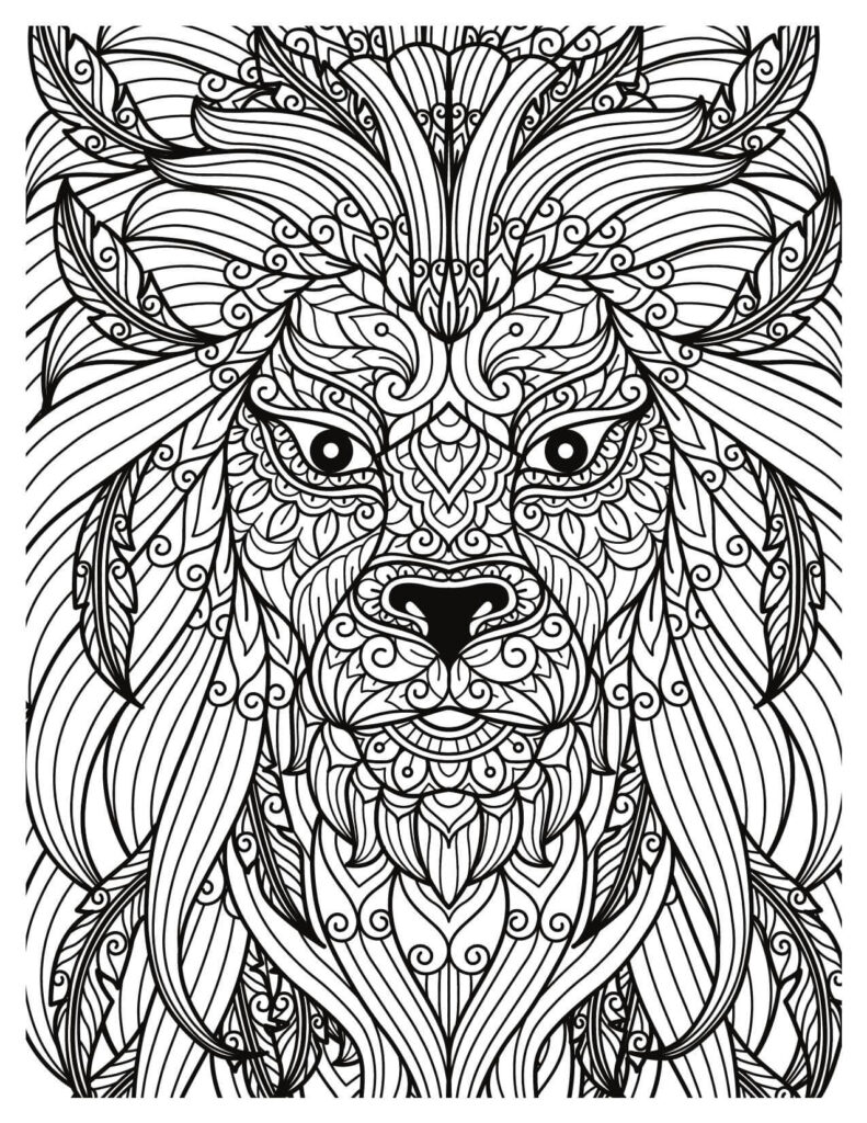 Outline Lion Head With Feathers