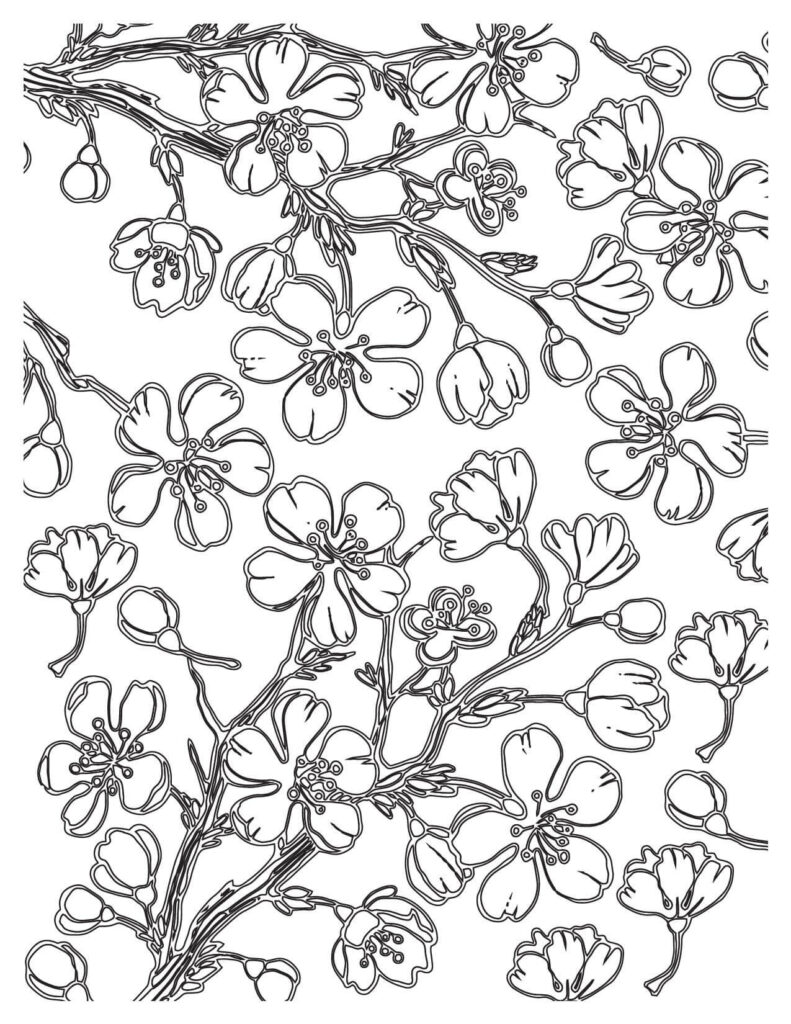 cherry blossoms coloring pages