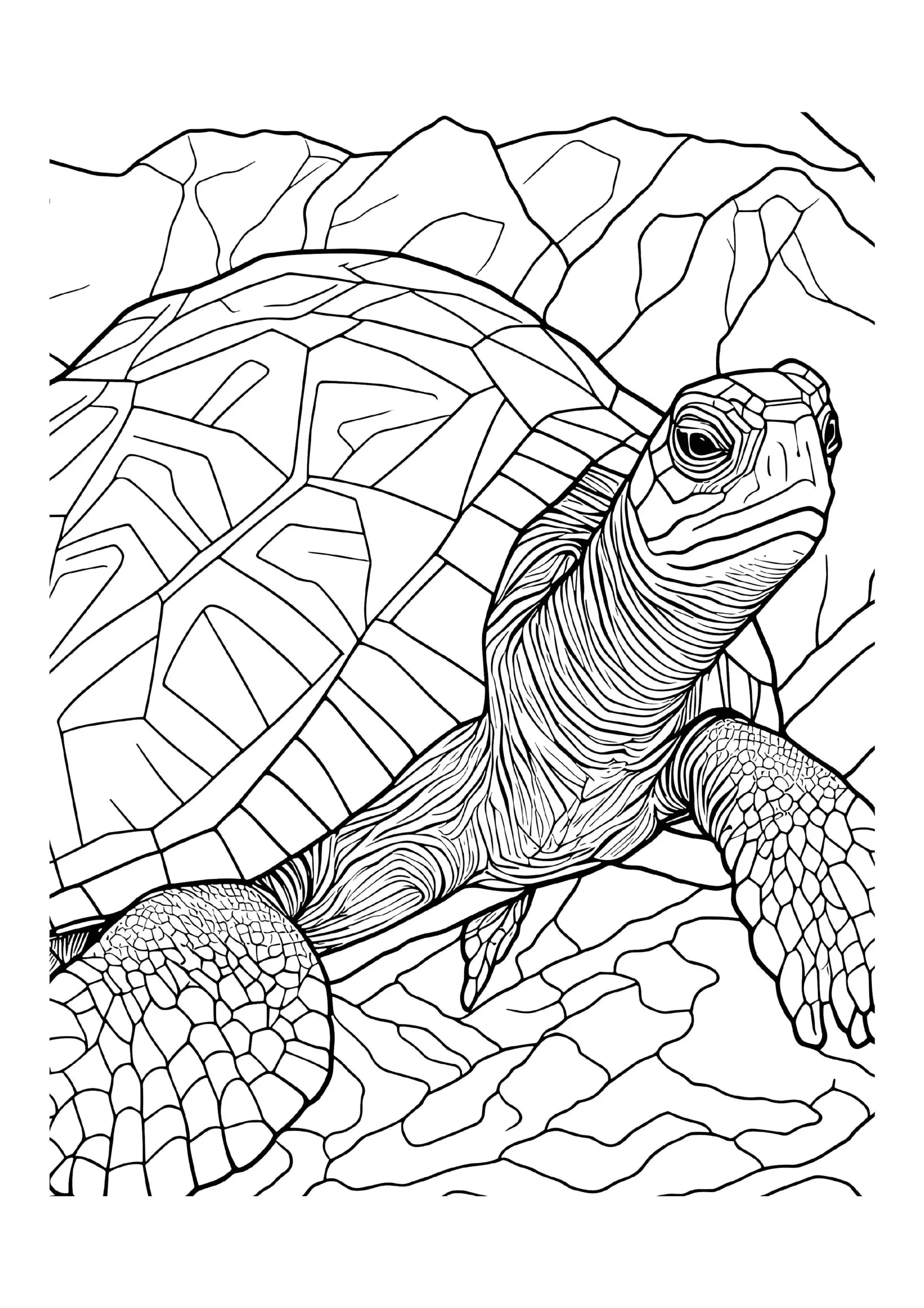 Sea Turtle Coloring Pages