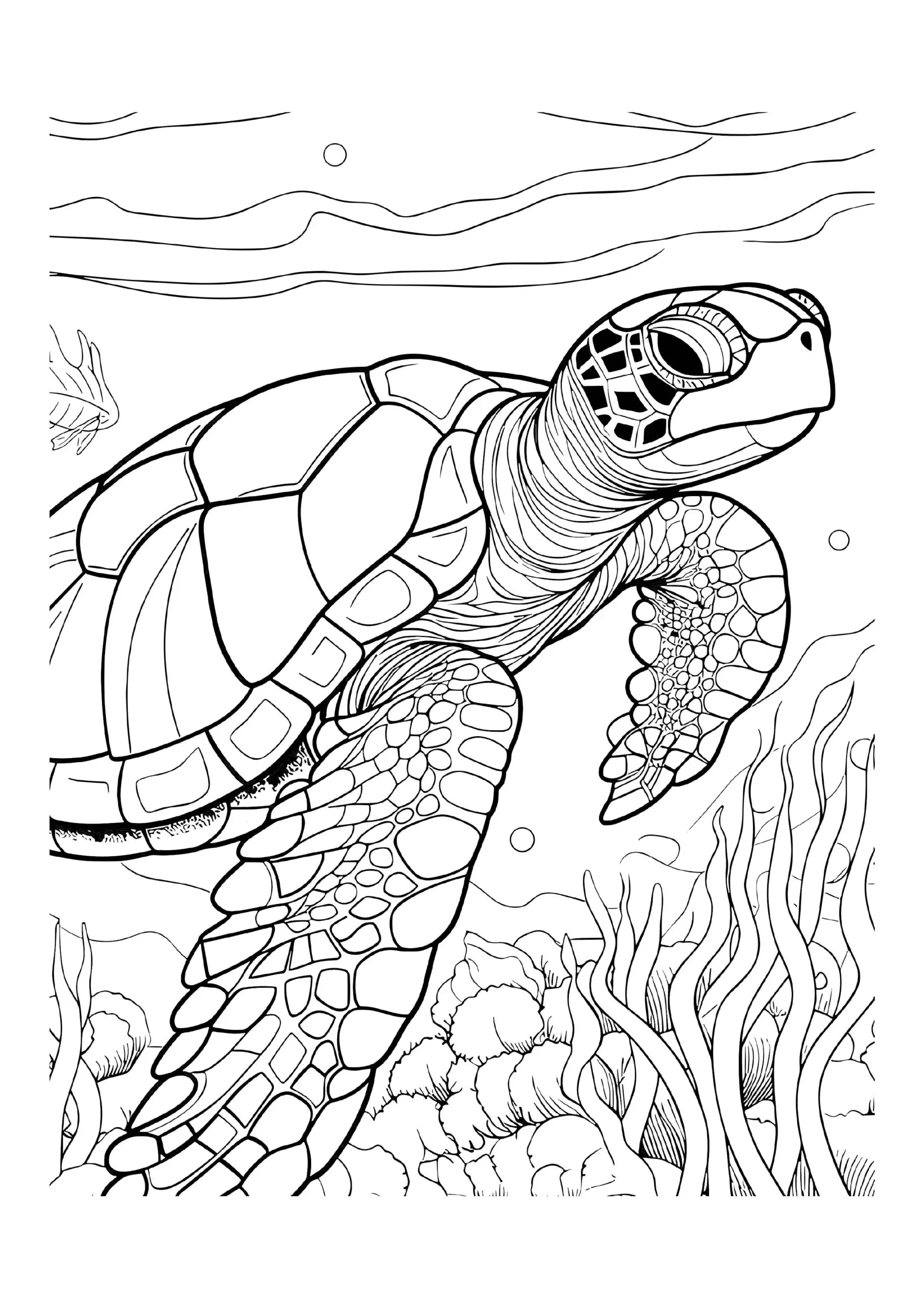 Sea Turtle Coloring Pages