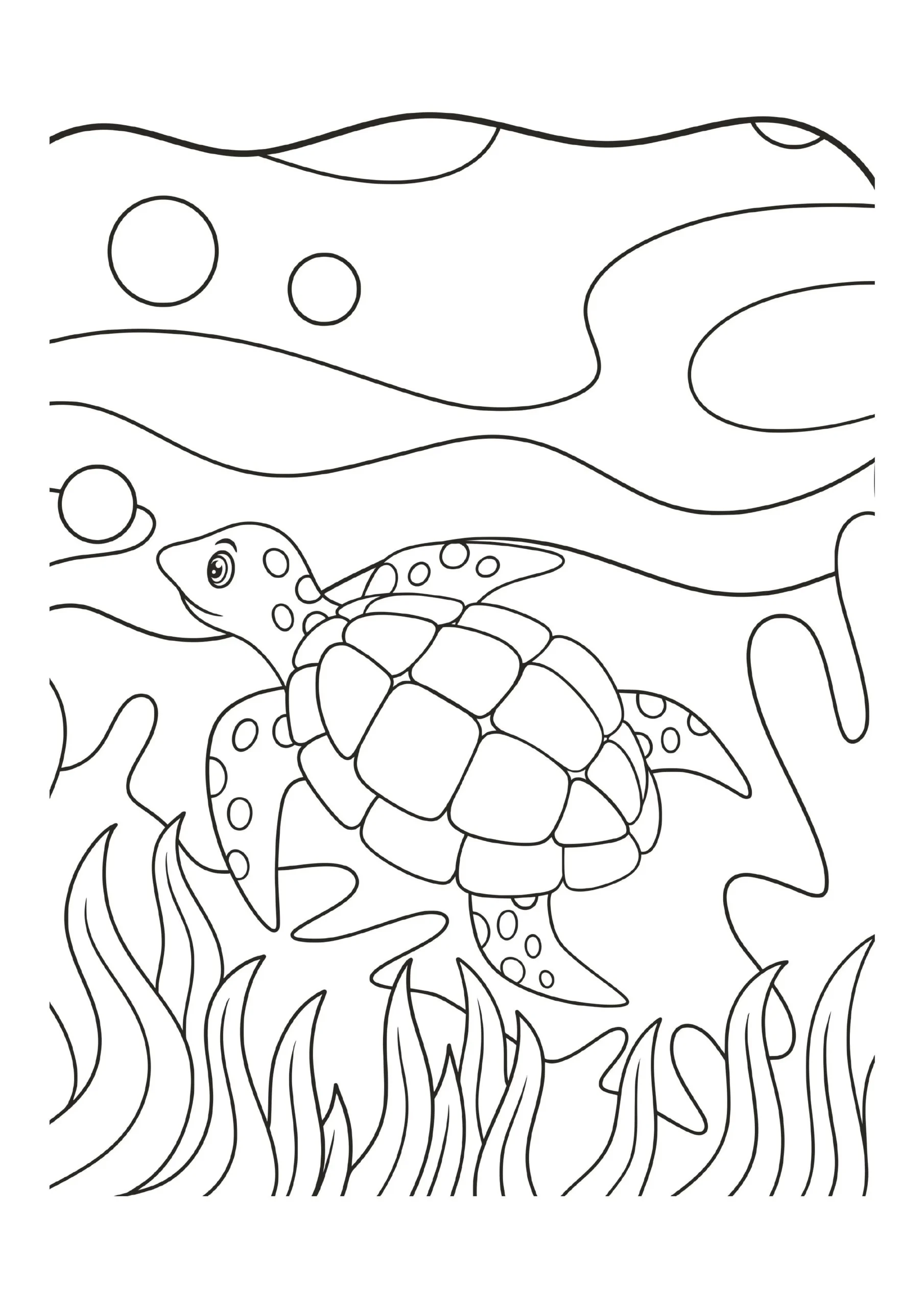 Sea Turtle Coloring Pages