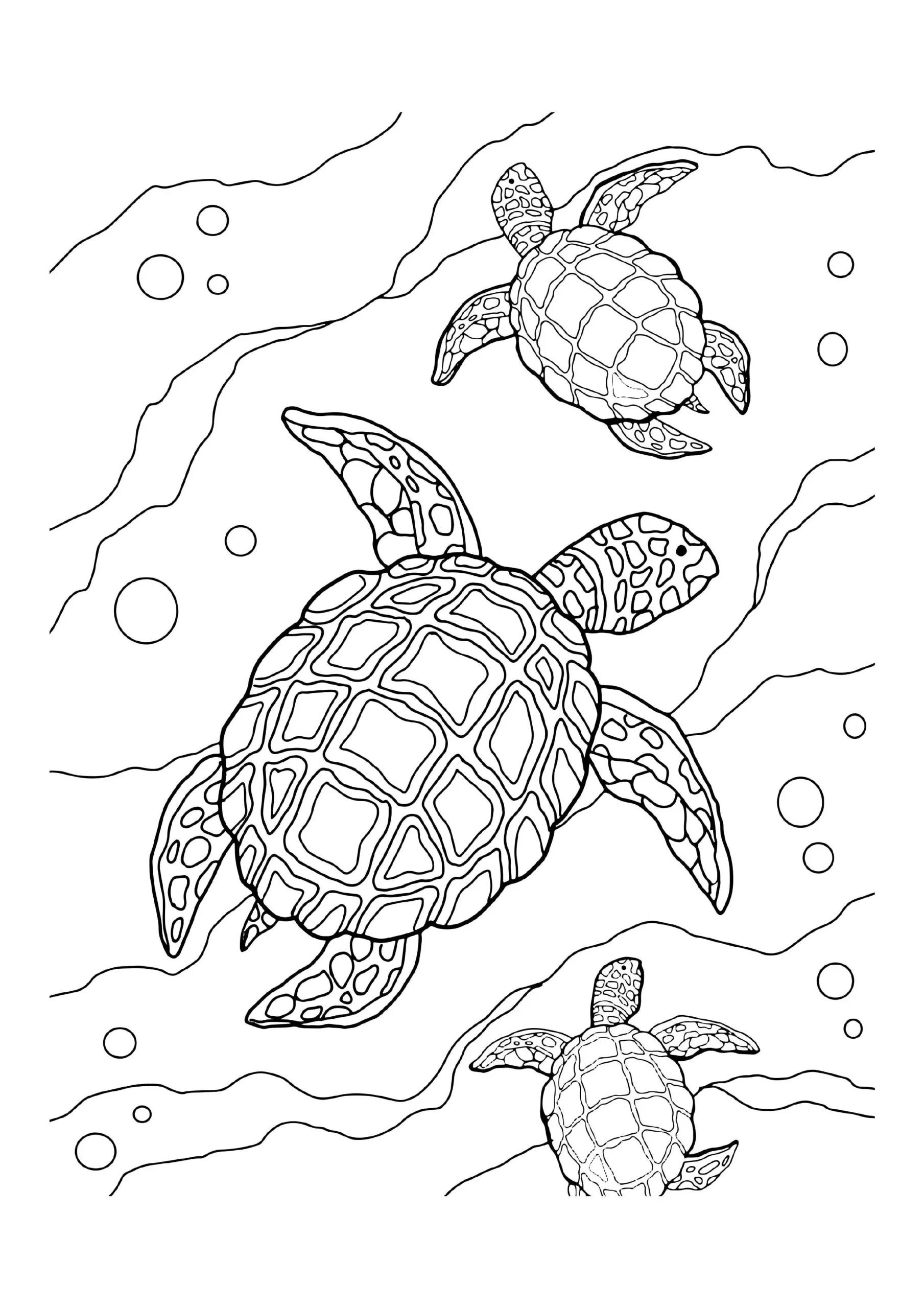 Sea Turtle Coloring Pages