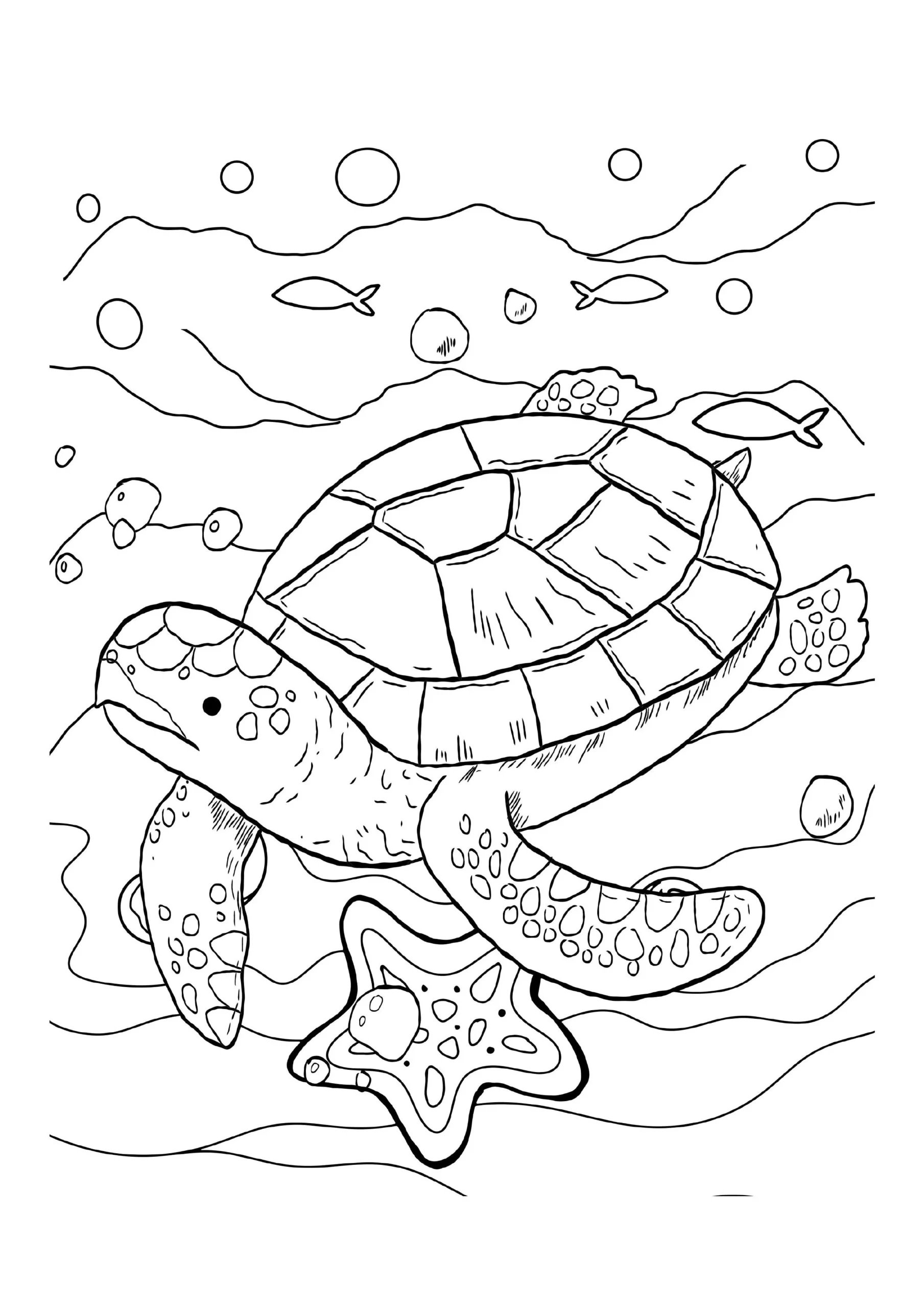 Sea Turtle Coloring Pages