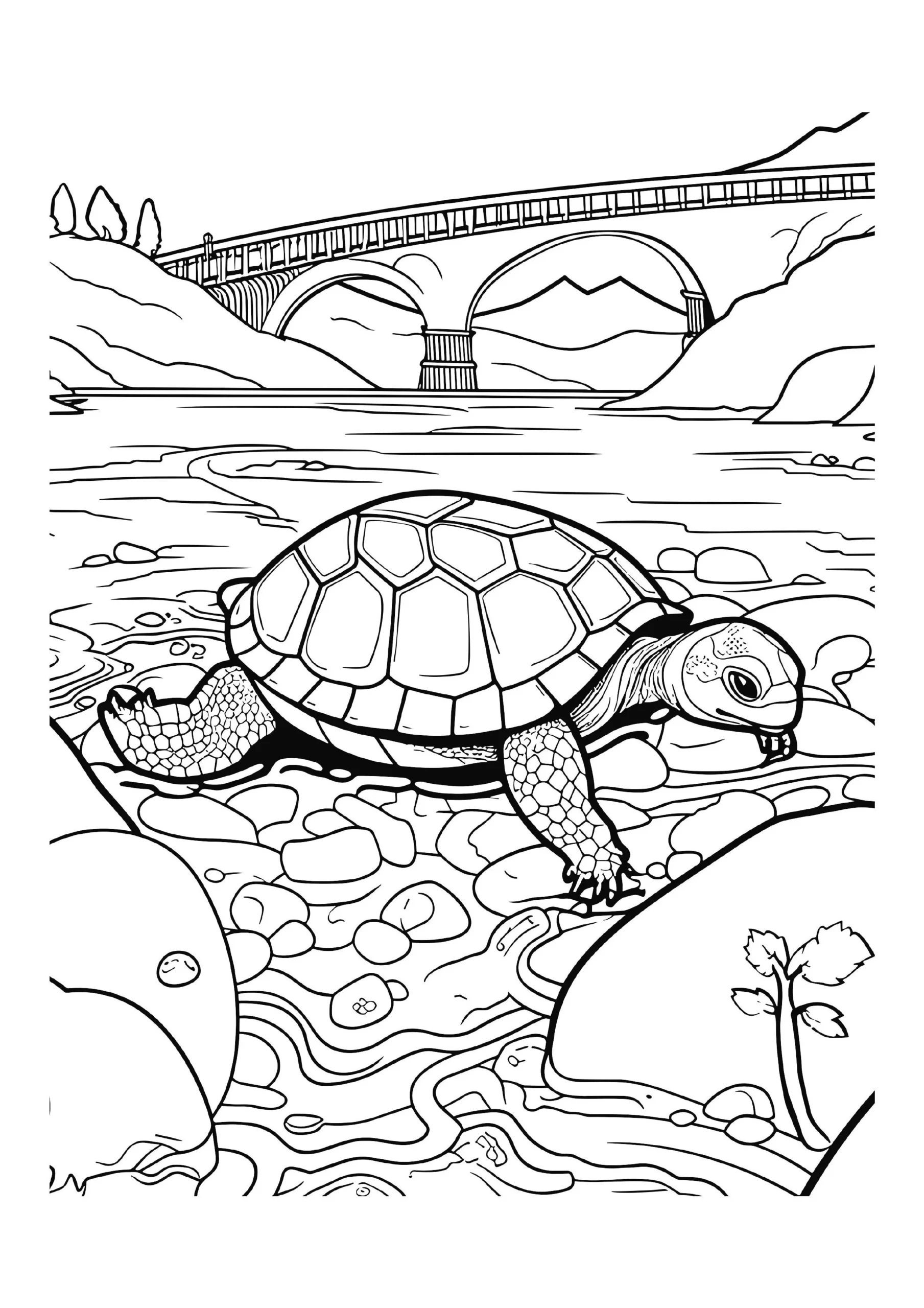 Turtle's Scenic River Crossing