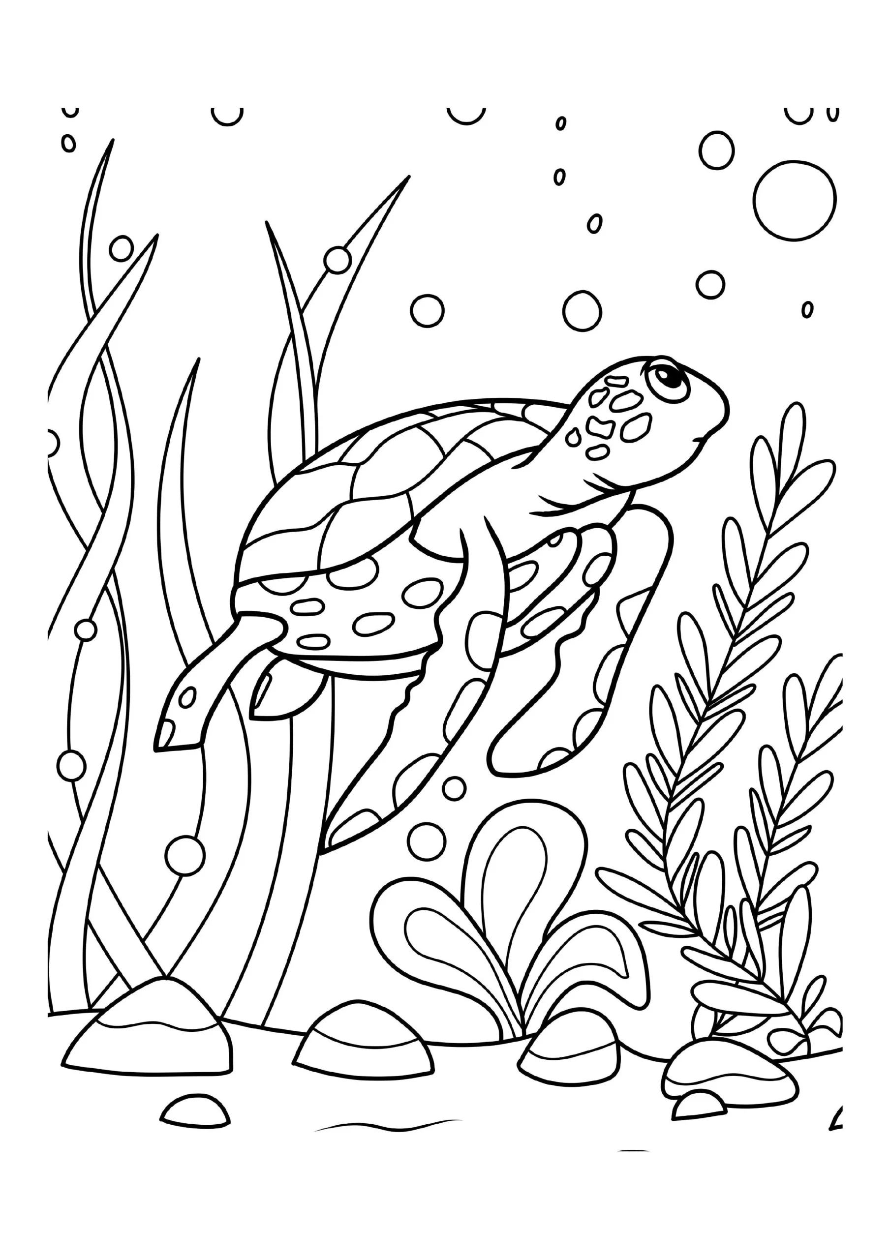 Turtle Amidst Sea Plants