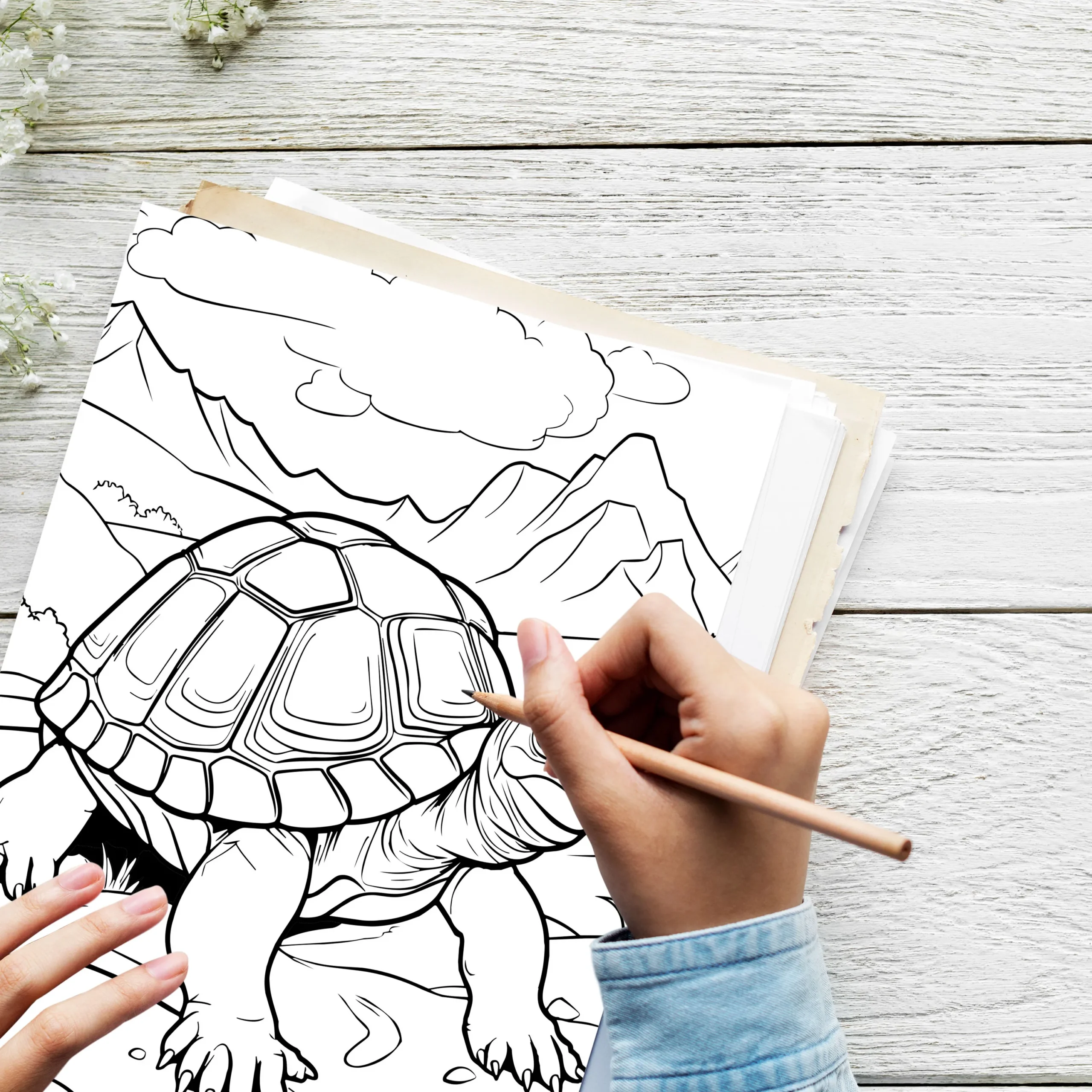  Sea Turtle Coloring Pages