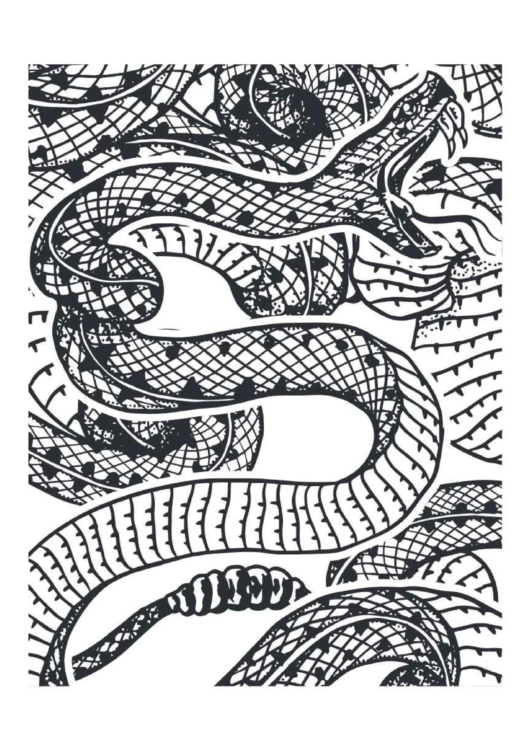 Snake Coloring Pages