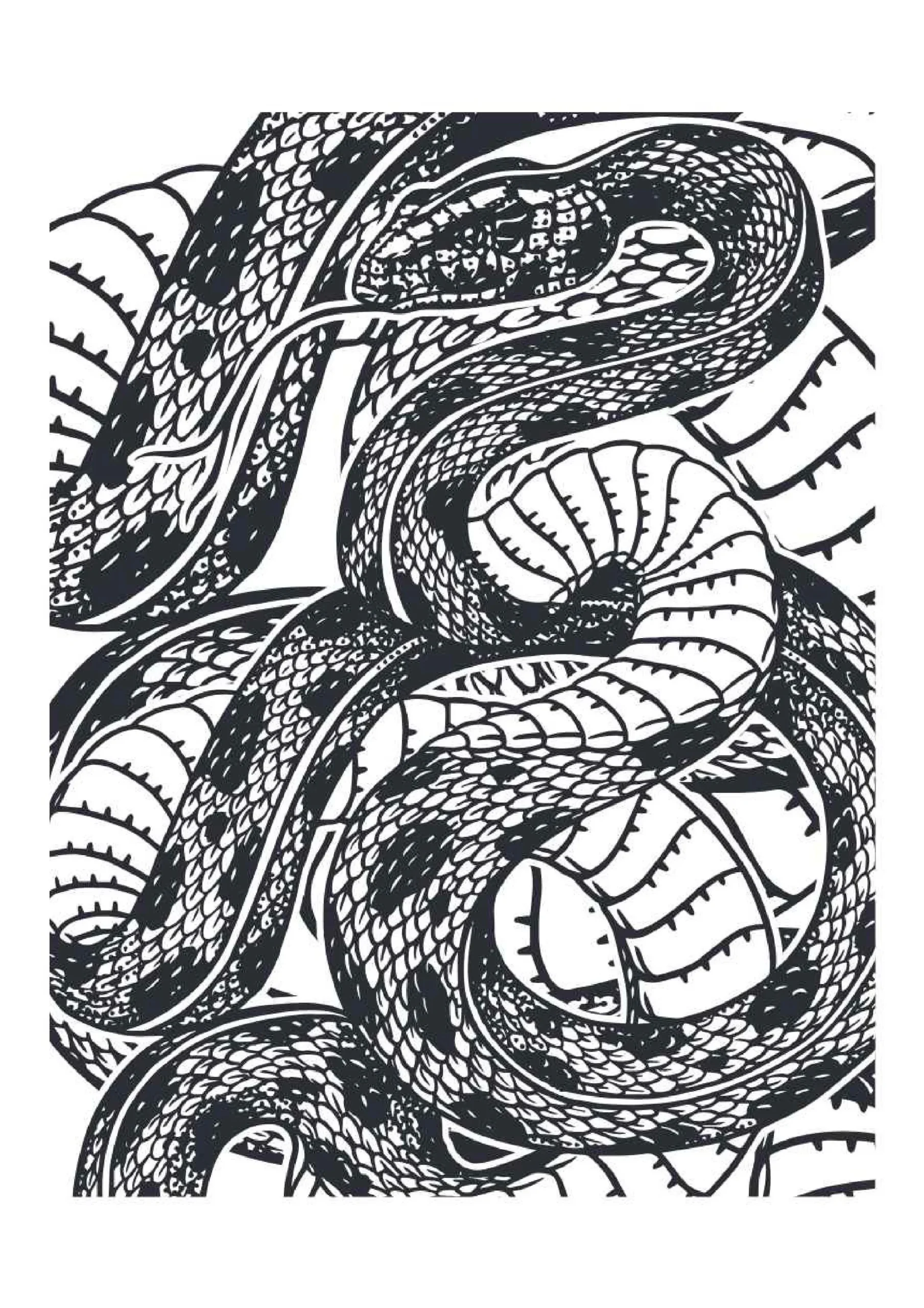 Snake Coloring Pages