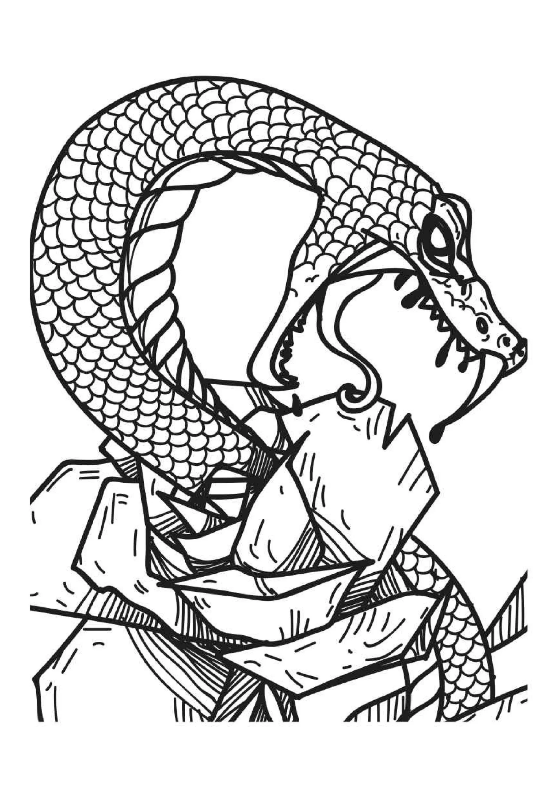 Snake Coloring Pages