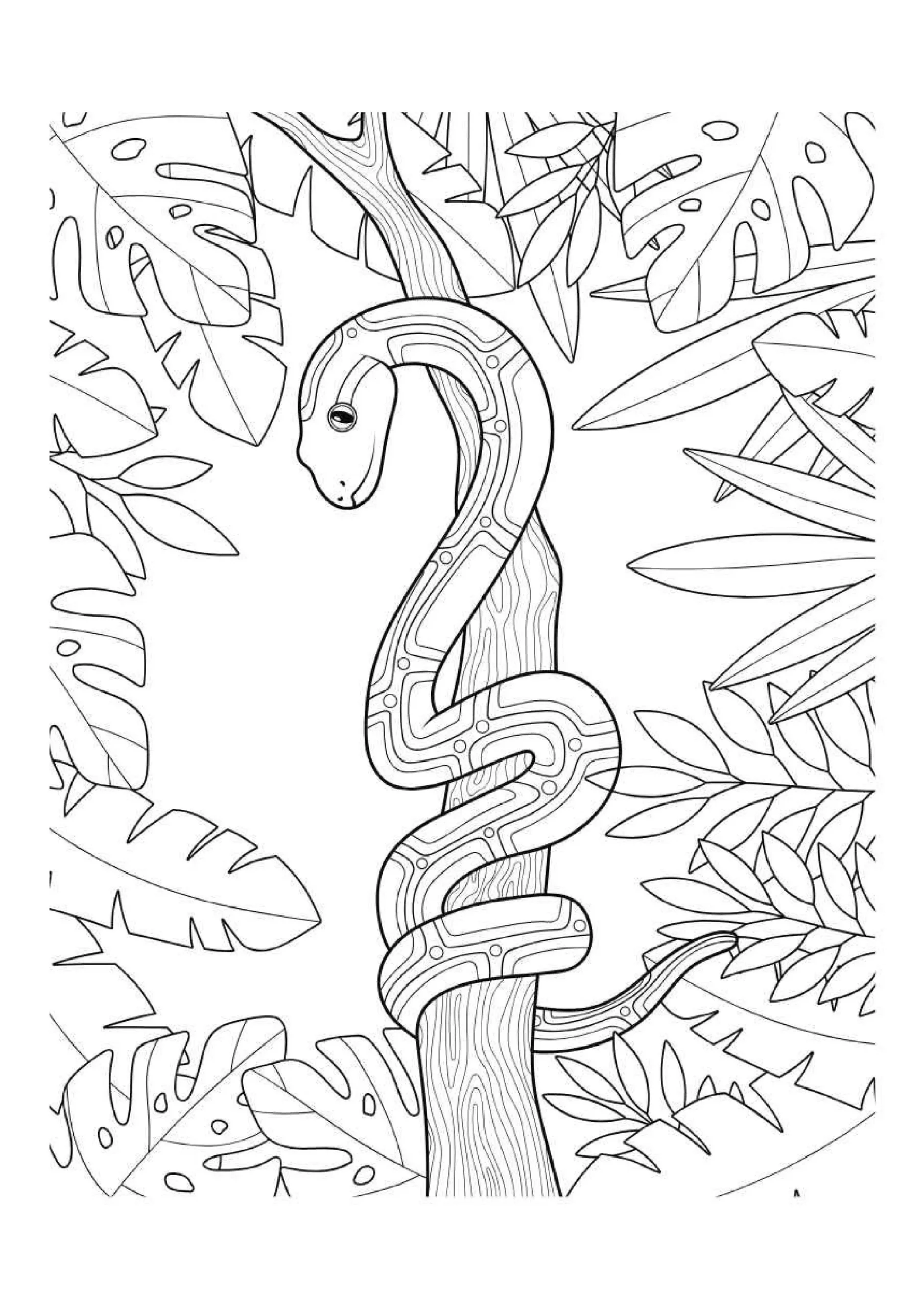 Snake Coloring Pages