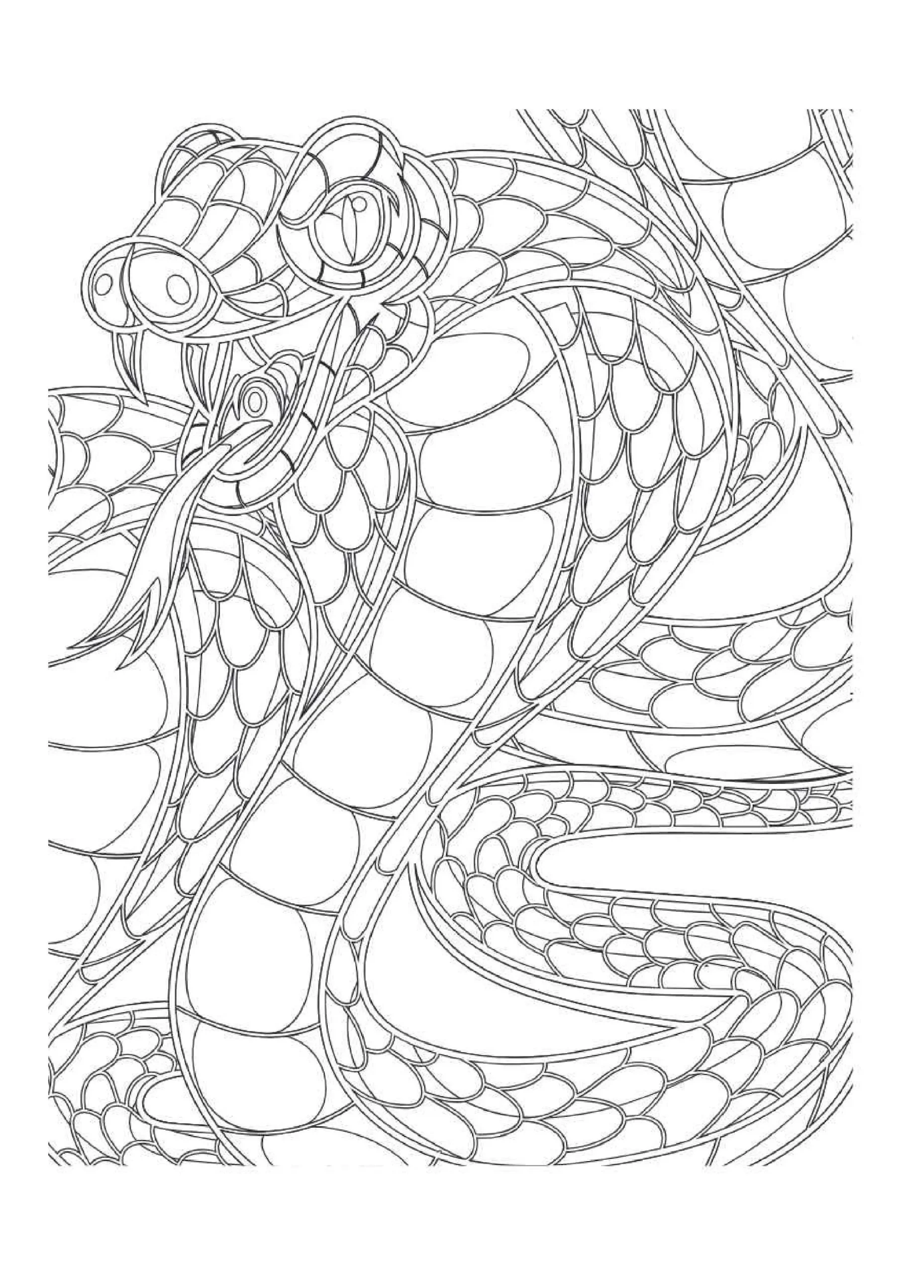 Snake Coloring Pages