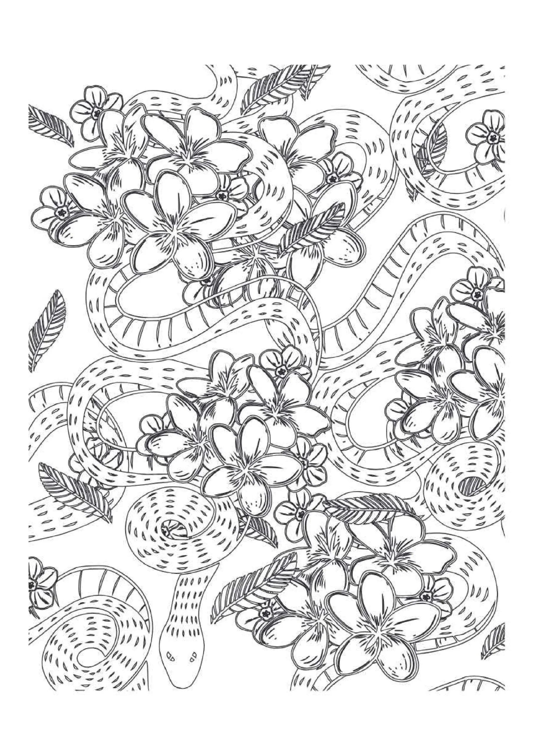 Snake Coloring Pages