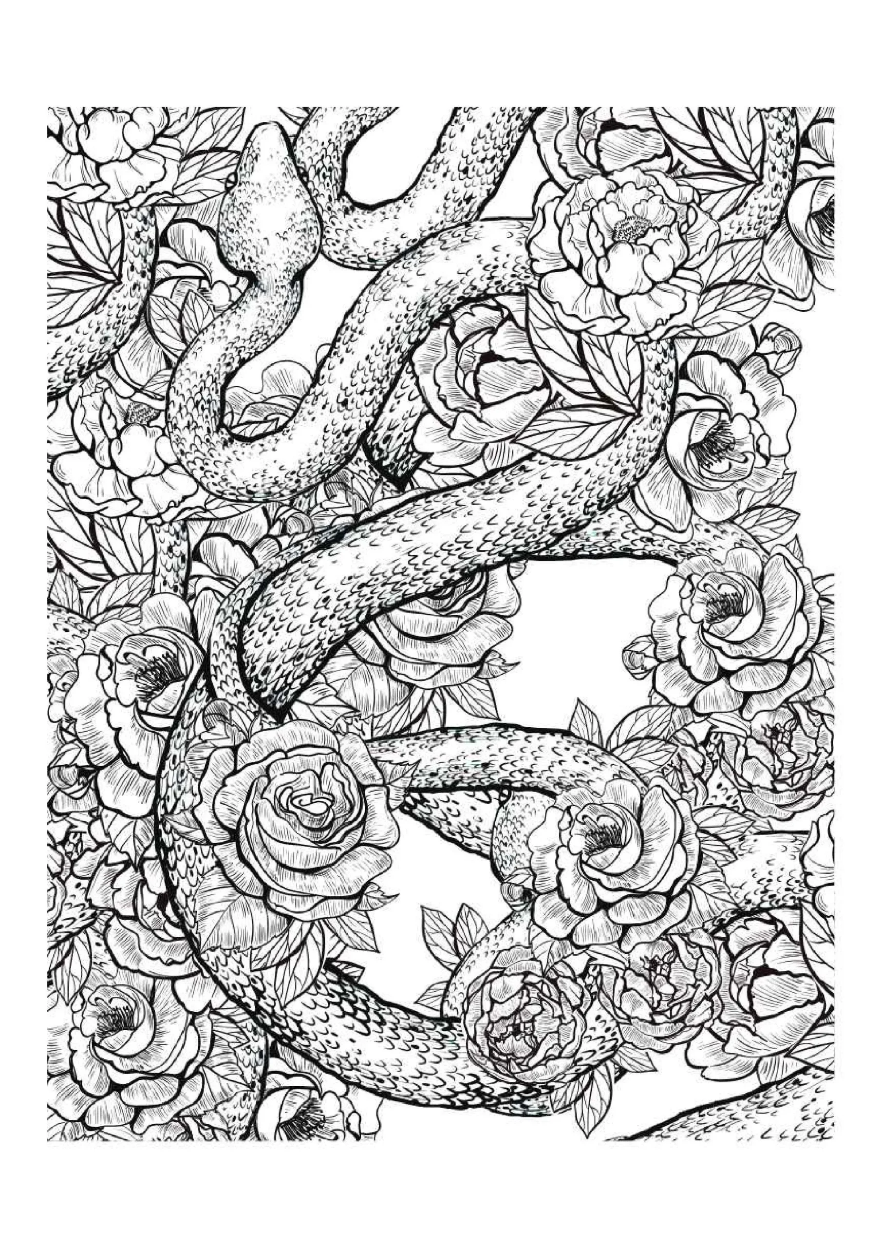 Snake Coloring Pages