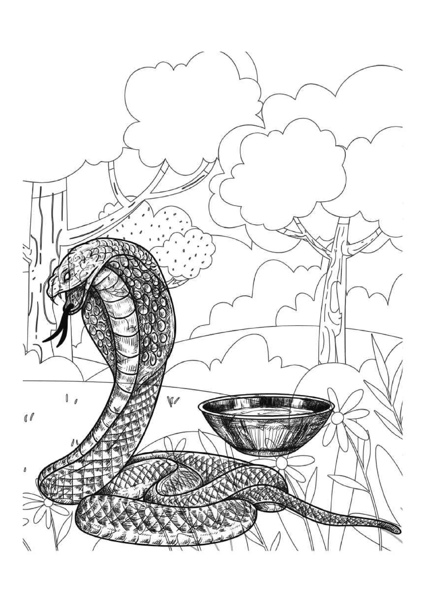 Snake Coloring Pages