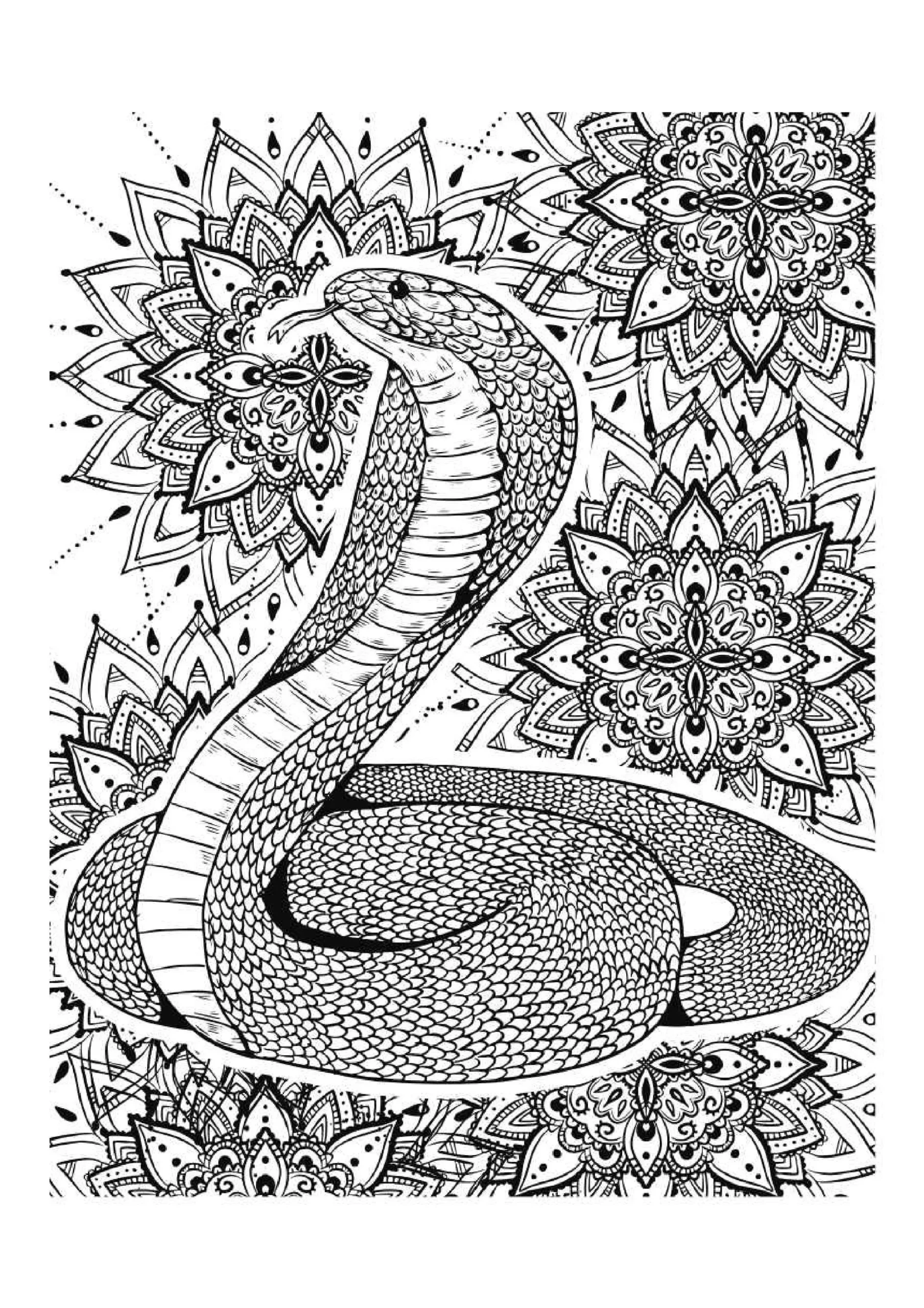 Snake Coloring Pages