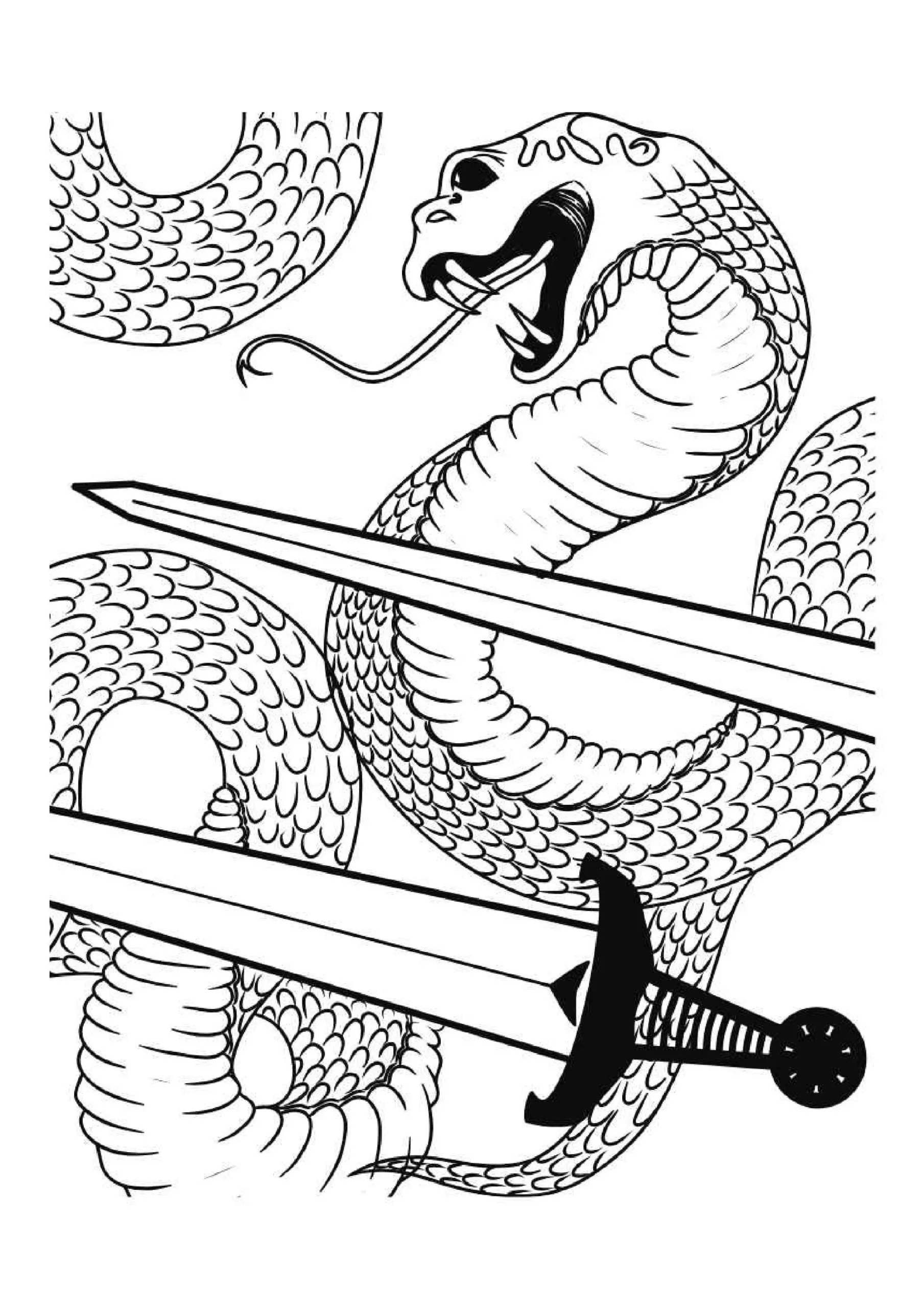 Serpent And Swords