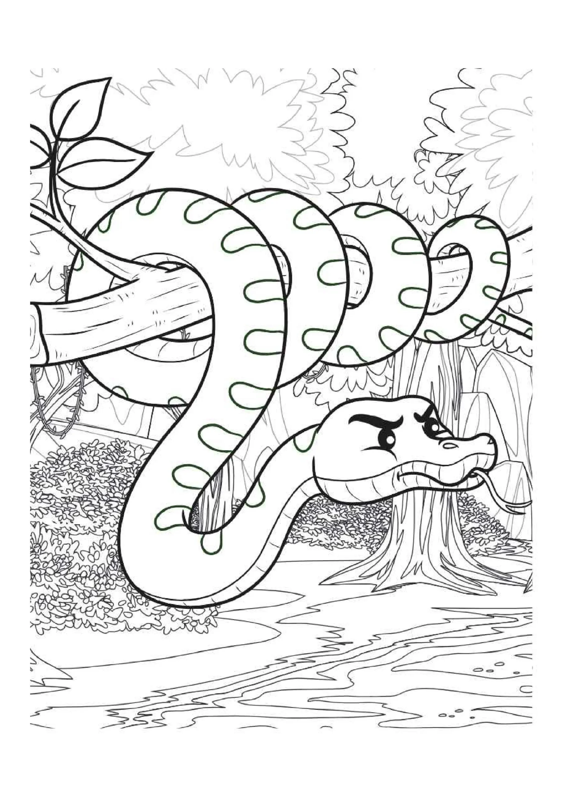 Angry Snake On Branch