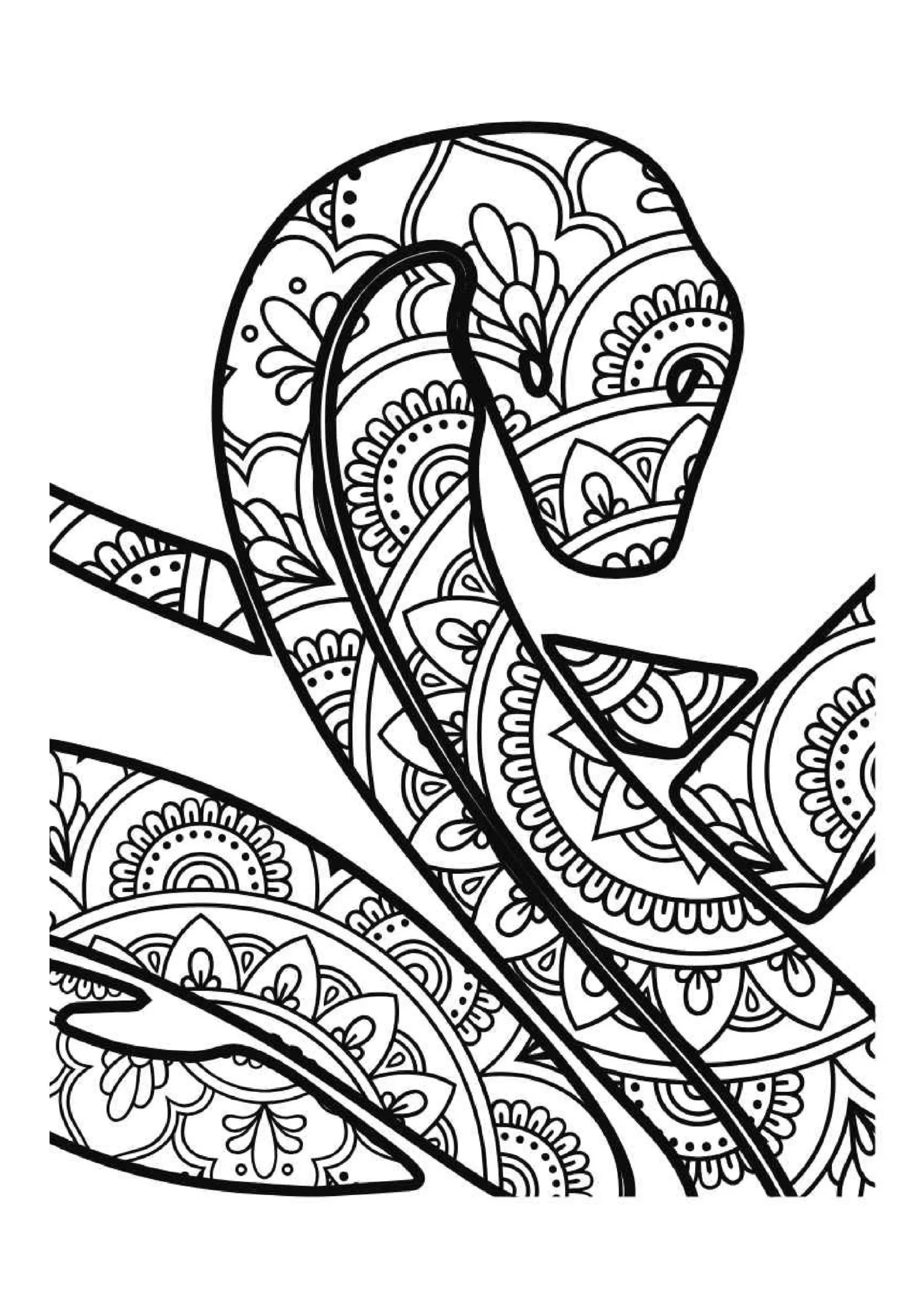 Ornate Patterned Snake