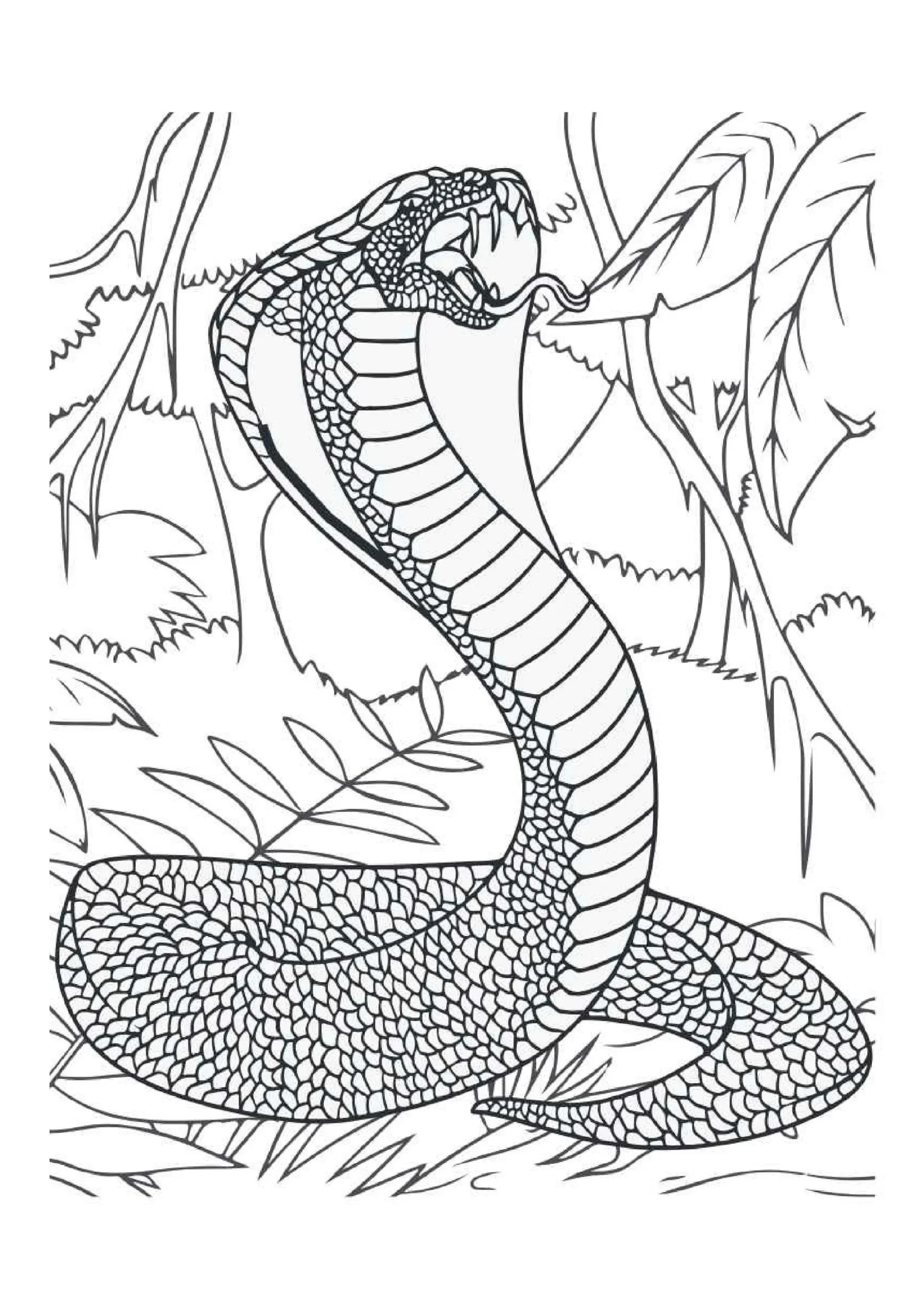 Hissing Cobra In Jungle