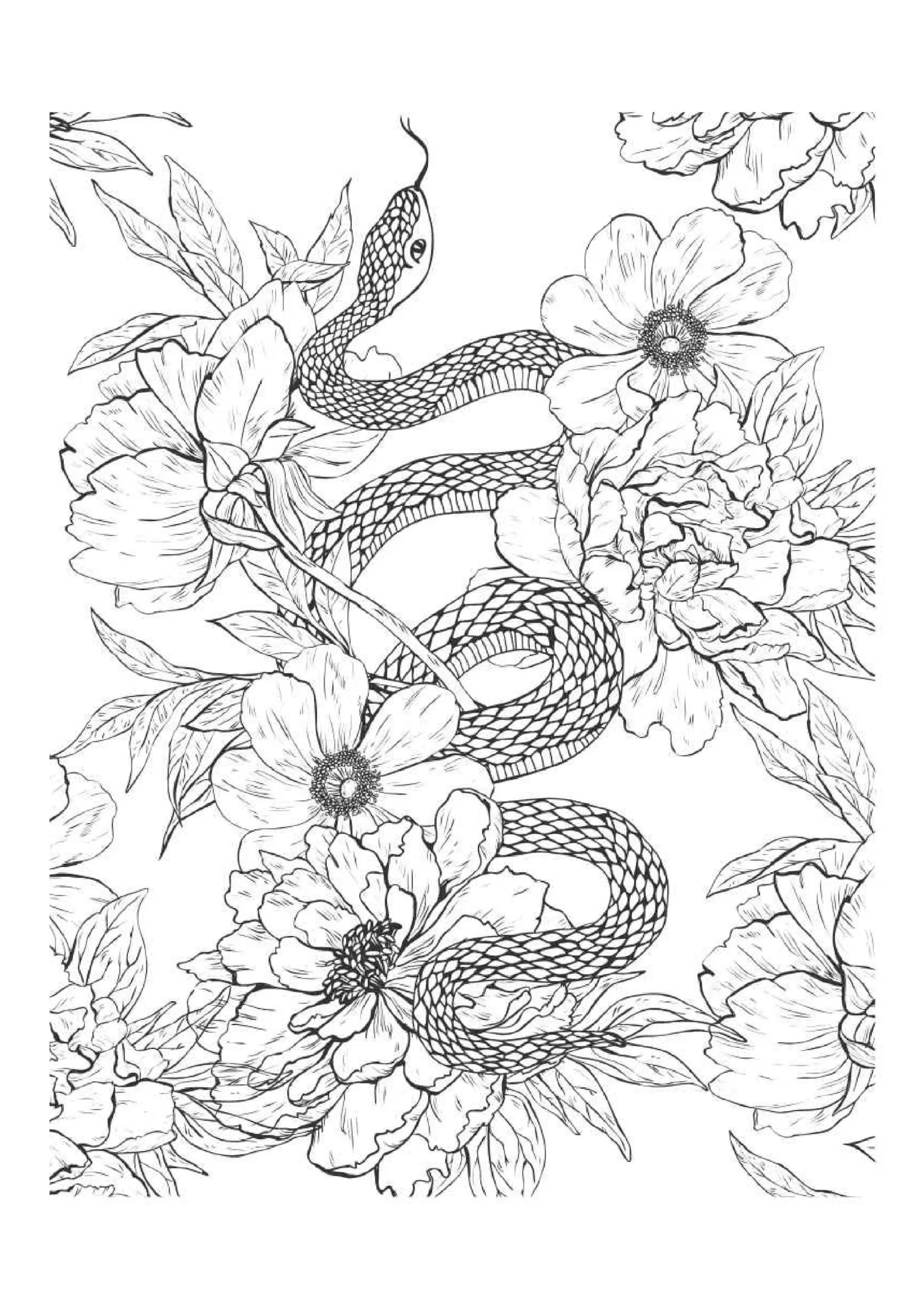 Serpent Amongst Peonies