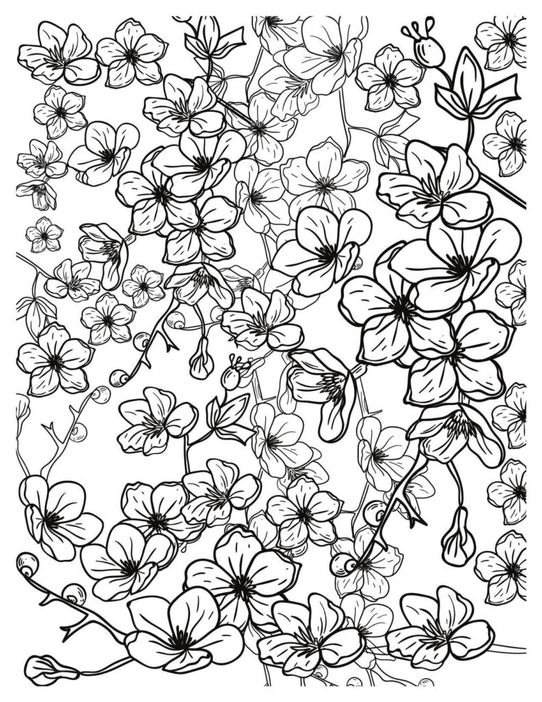  Spring Floral Pattern cherry blossoms coloring pages