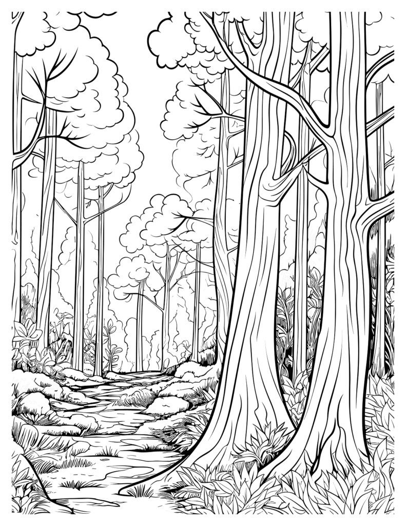 Tall And Sleek Redwood Forest Coloring Pages