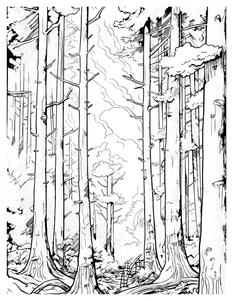 Tall Trees Reaching For The Sky Redwood Forest Coloring Pages