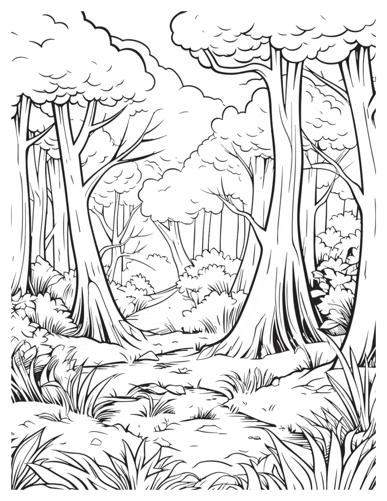 The Abundance Of Trees In Redwood Forest Coloring Pages