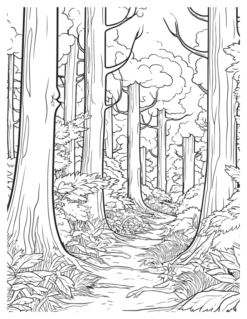  Tower Treasures Of Redwood Forest Coloring Pages