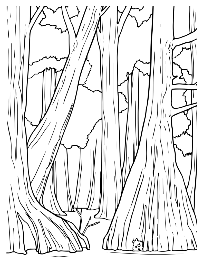 Tree Trunks With Detailed Line Work