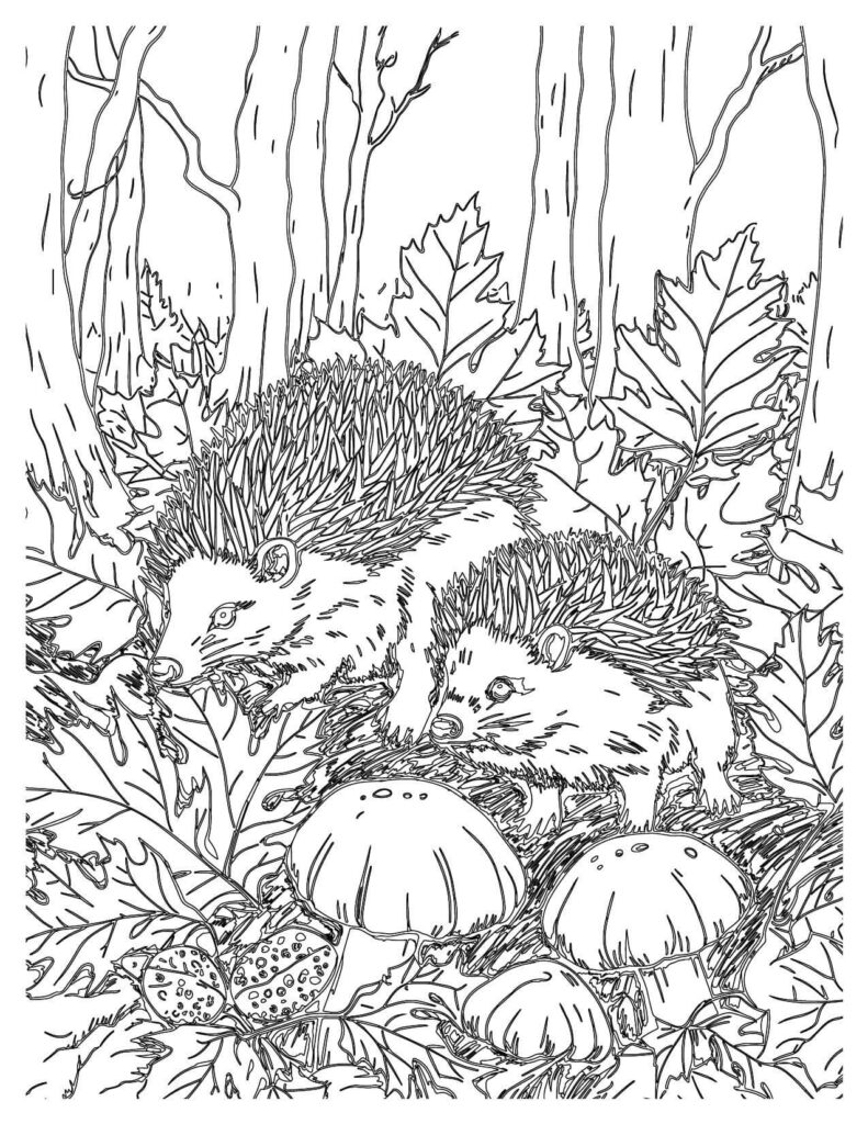 Two Hedgehogs In The Forest Forest Friend Coloring Pages