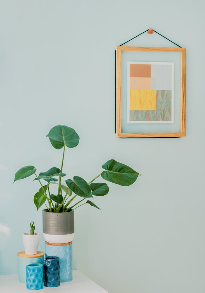 A minimalist interior with a Monstera plant, framed abstract art, and home decor elements.